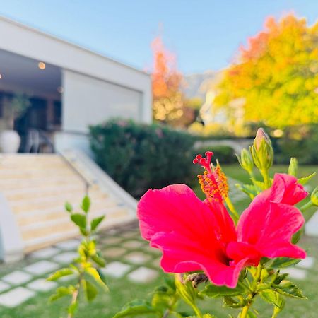 Residence Vive La Vie Franschhoek Exteriér fotografie