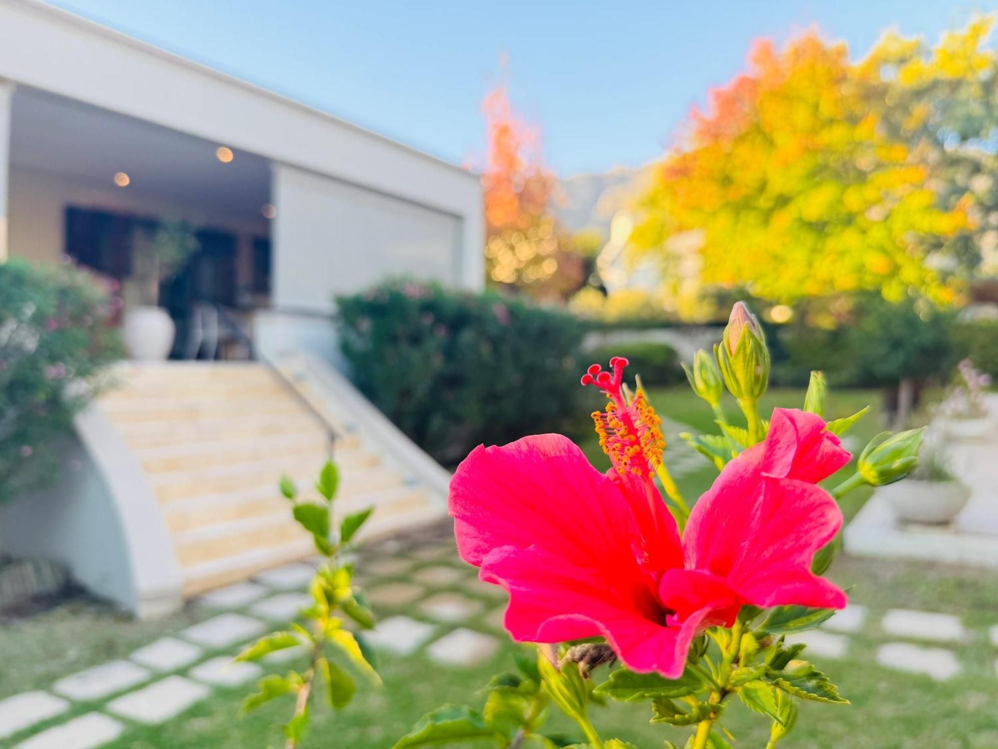Residence Vive La Vie Franschhoek Exteriér fotografie